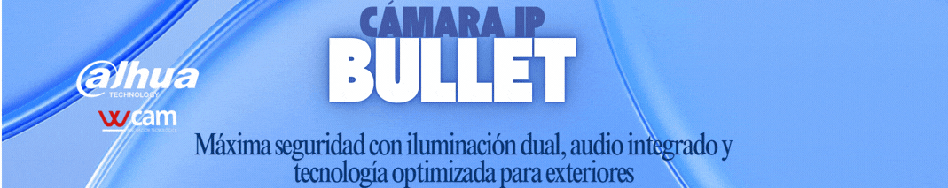 Cámaras ( IP )