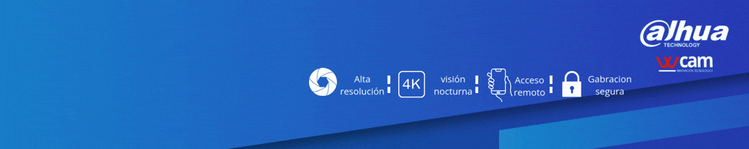 Grabadores Análogicos (CCTV)