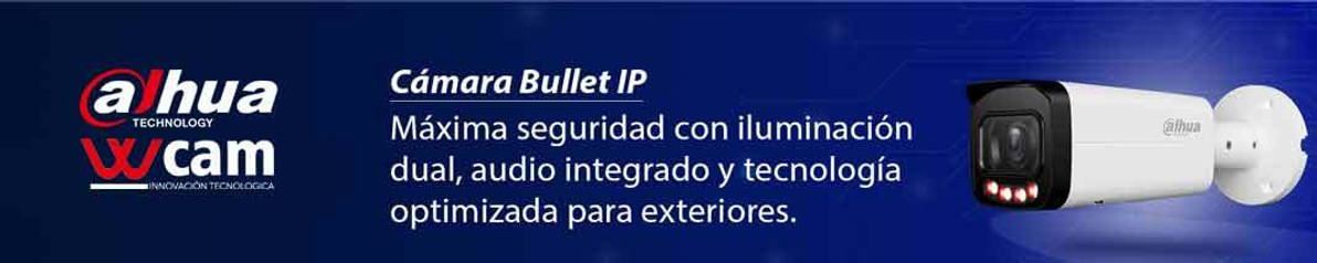 Cámaras ( IP ) Cámaras ( IP )
