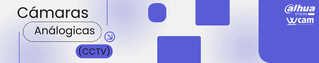 Cámaras Análogicas (CCTV)