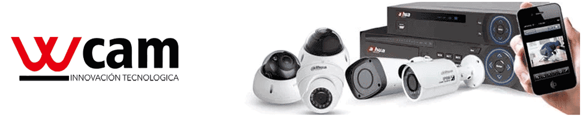 Videovigilancia Videovigilancia