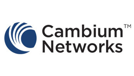CAMBIUM CAMBIUM