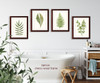 illustration Set of 4 natural history prints Ferns #1