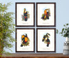 Toucans scientific illustration set of 4 giclee art prints #1,