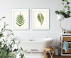 set of 2 fern natural history prints #1-2