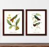 Hummingbirds set of 2 giclee art print #1-1,