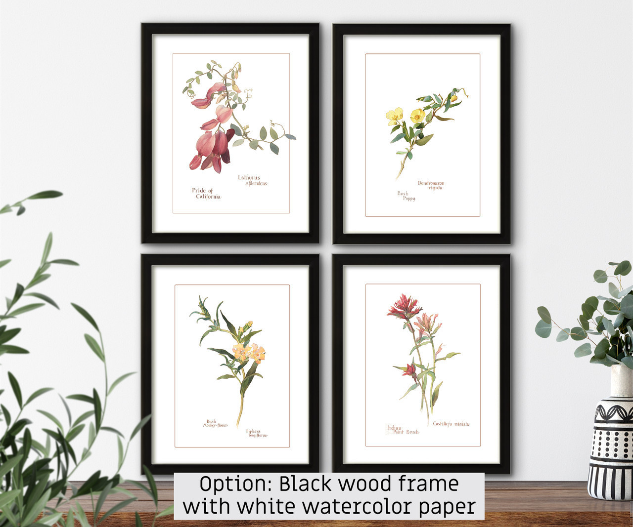 Botanical illustration Set of 4 vintage natural history flowers prints #1, giclee art print