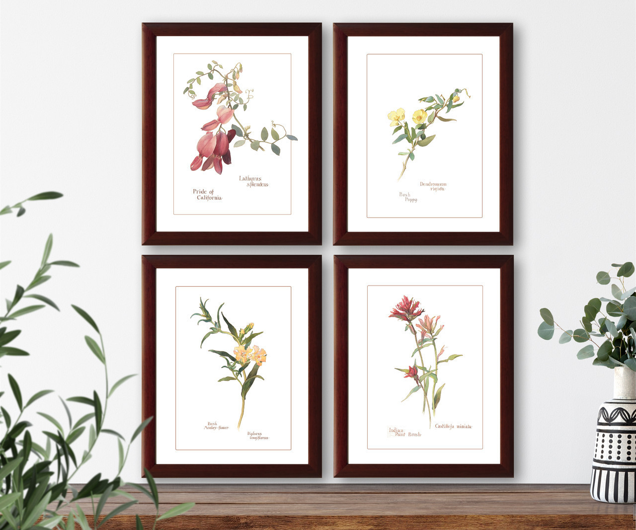 Botanical illustration Set of 4 vintage natural history flowers prints #1, giclee art print