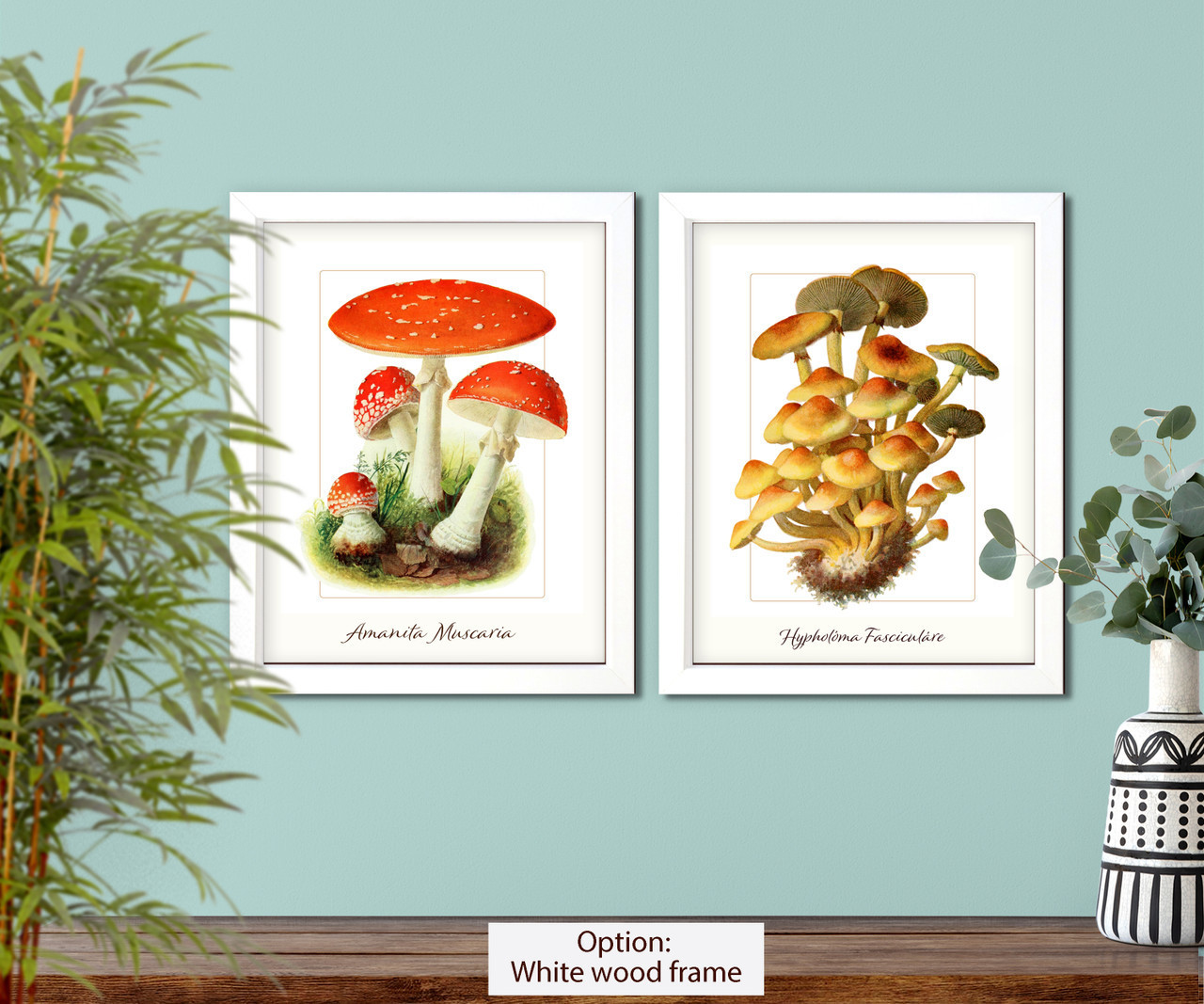 Mushrooms scientific illustration set of 2 giclee art prints #1-1