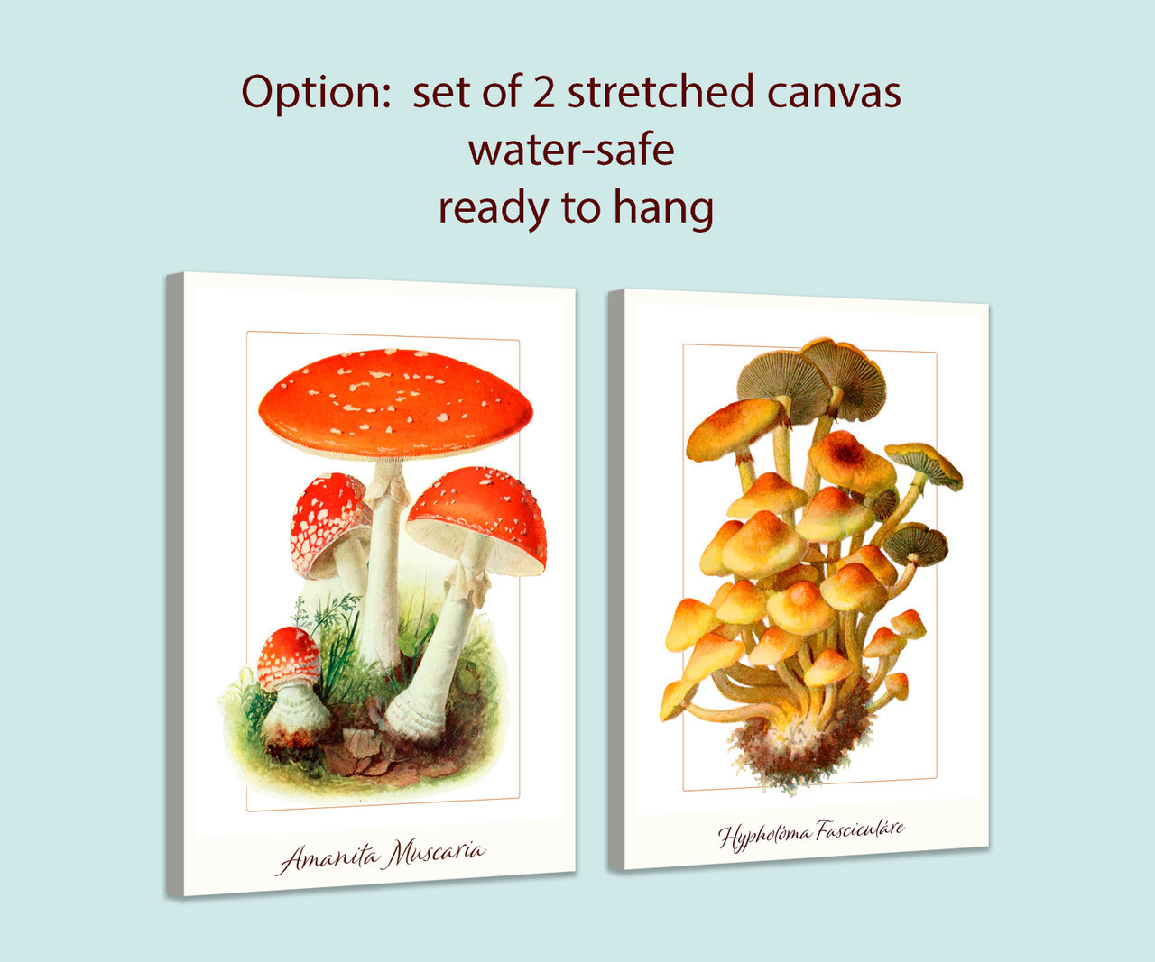 Watercolor Sketch 92 / Shiitake Mushrooms 水彩スケッチ92