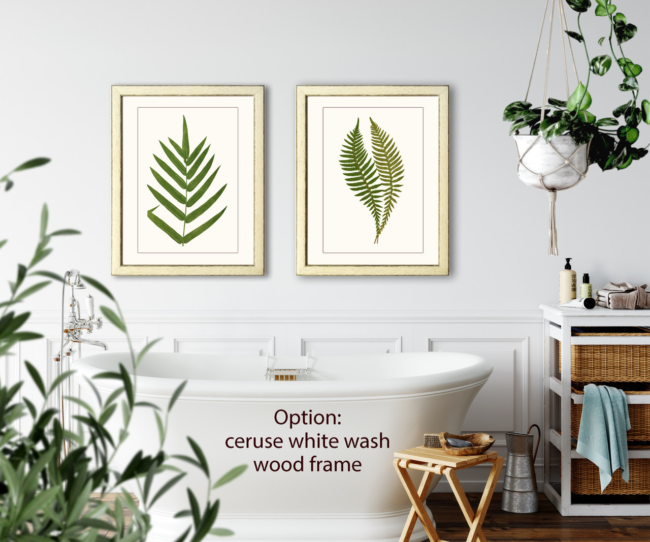 set of 2 fern natural history prints #1-2