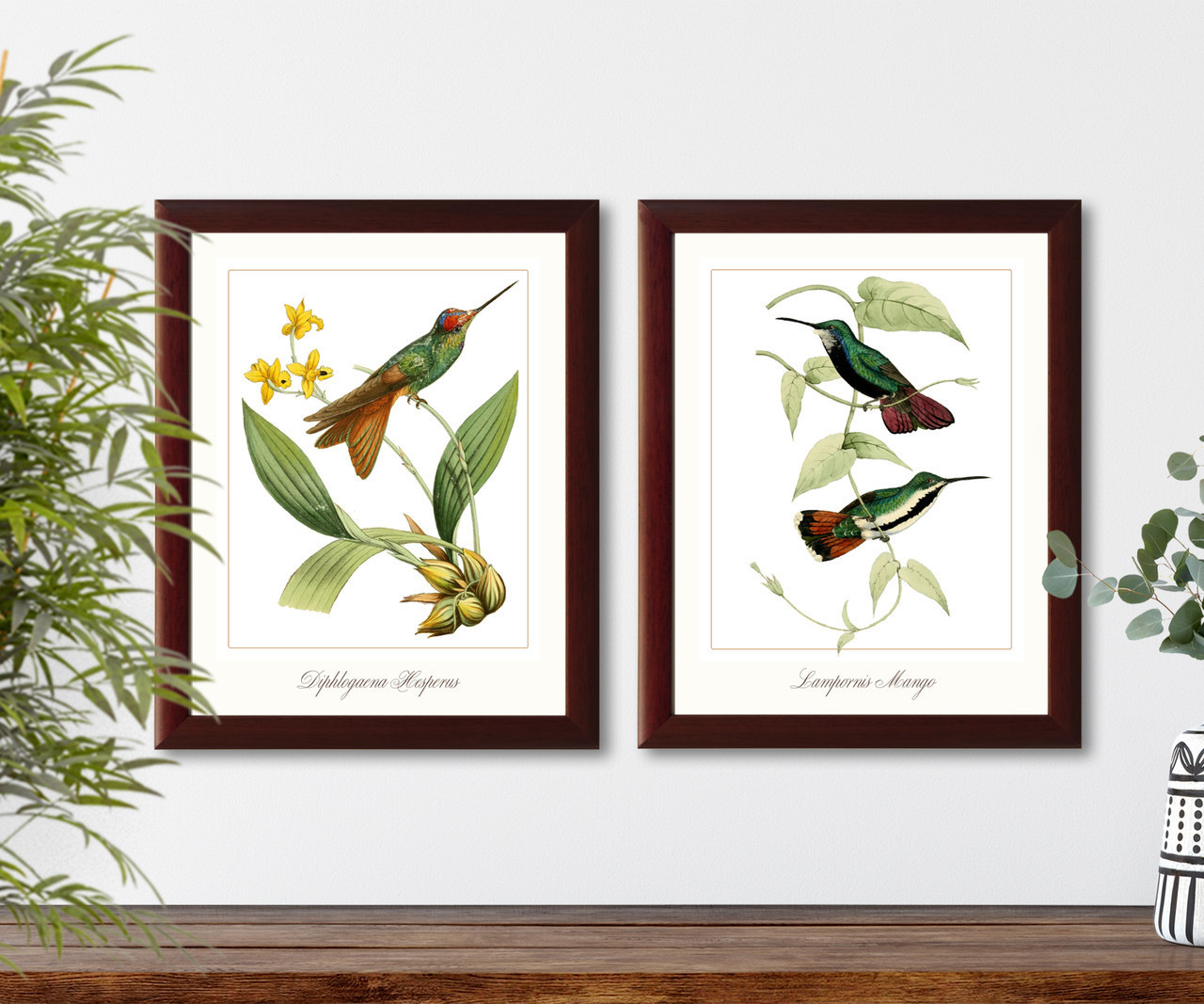 Hummingbirds set of 2 giclee art print #1-1,