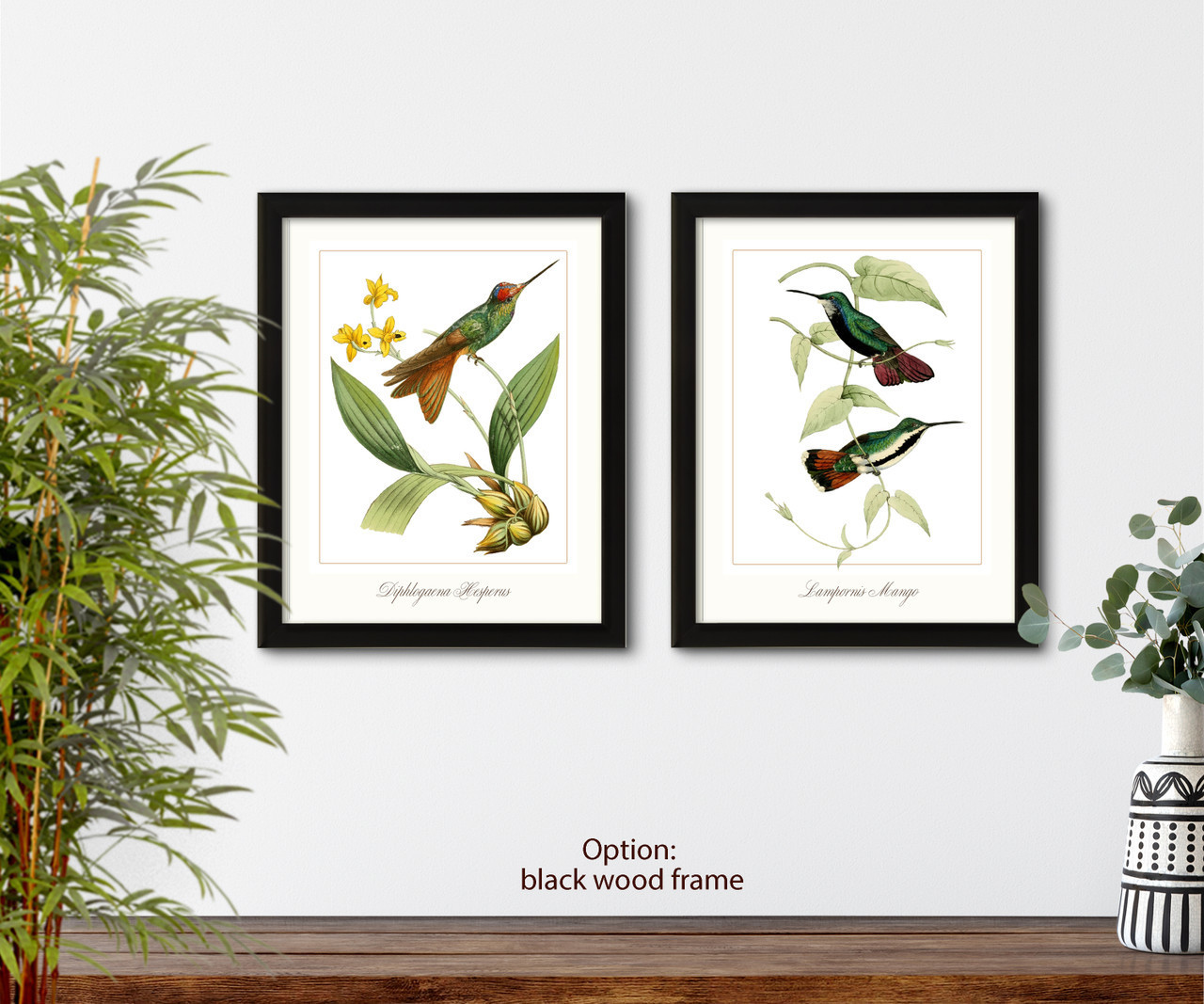 Hummingbirds set of 2 giclee art print #1-1,