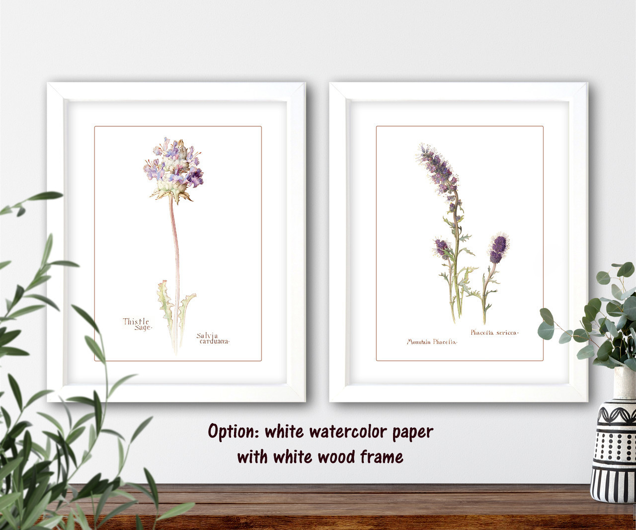 Botanical illustrations set of 2 natural history prints #3-2