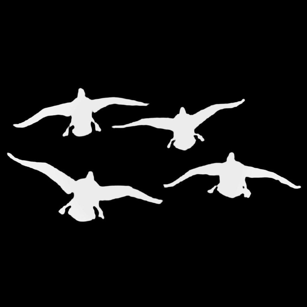 ducks landing silhouette