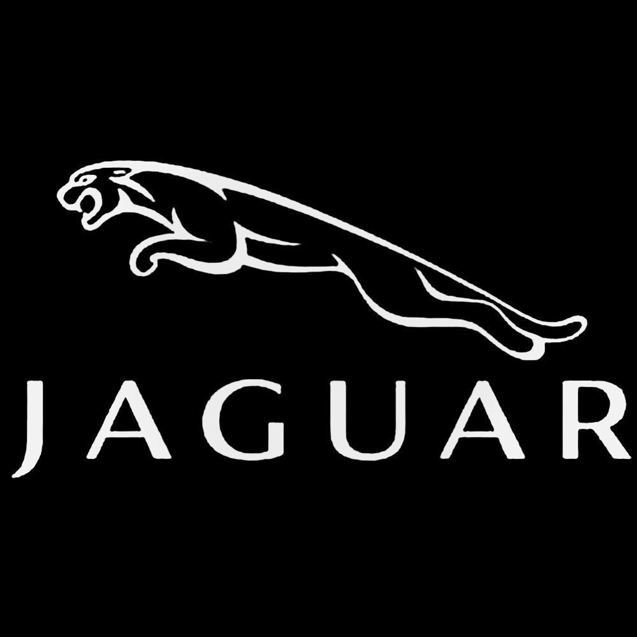 Jaguar mascot logo design Royalty Free Vector Image