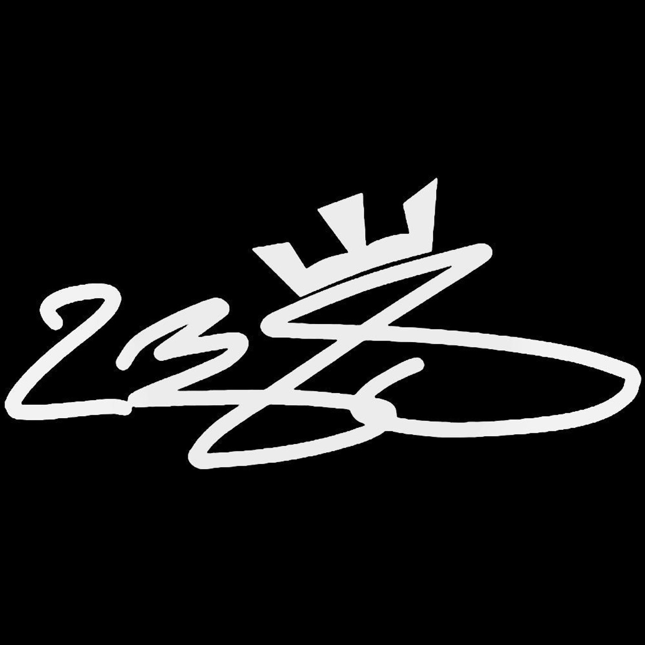 signature lebron james