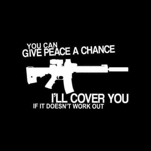 You Can Give Peace A Chance Ar15 M16 Nra Decal Sticker