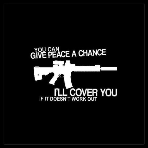 You Can Give Peace A Chance Ar15 M16 Nra Vinyl Decal Sticker