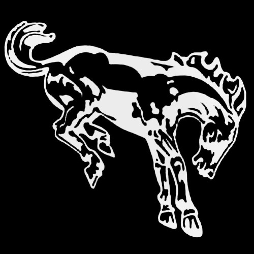 Bucking Horse Decal Sticker
