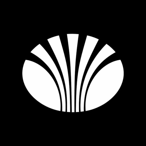 Daewoo Logo Plein Vinyl Decal Sticker