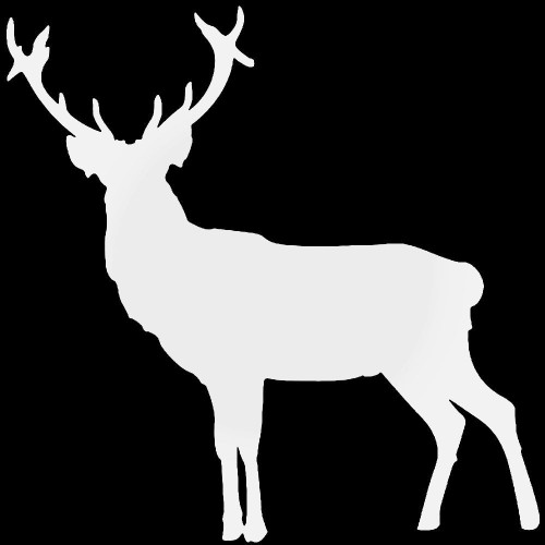 Deer Buck 11 Sticker