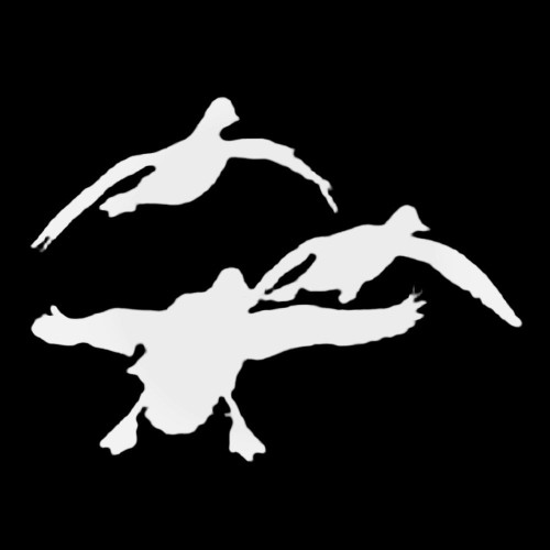 Duck Hunting S 5026 Ducks Comin At Ya039 Decal Sticker