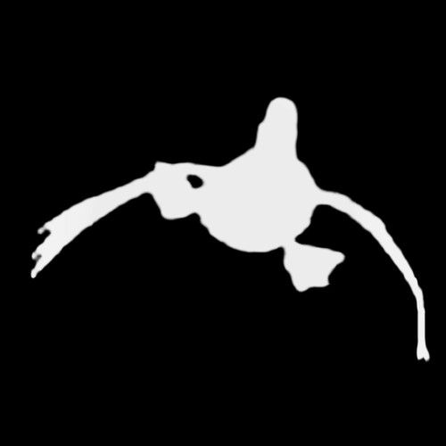 Duck Hunting S 5030 Ducks Comin In Decal Sticker