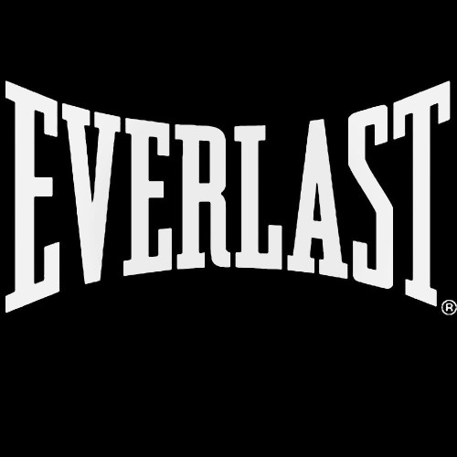 Everlast Logo Decal Sticker