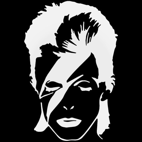 Aladdin Sane David Bowie Decal