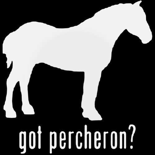 Got Percheron Horse Decal Sticker Vinyl Decal Sticker