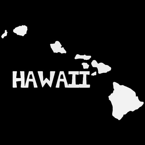  FBI from Big Island - Hawaii County Tropical Hawaii Island  Beach - Cars Trucks Moped Helmet Hard Hat Auto Automotive Craft Laptop  Vinyl Decal Store Window Wall Sticker 05019