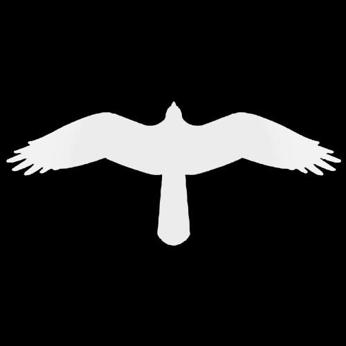 Hawk 2 Decal Sticker