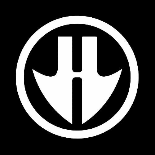 Hawk Shoes SkateBoard Decal