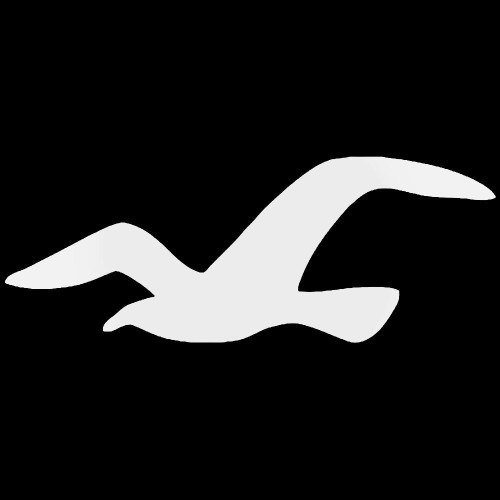 Hollister Seagull Vinyl Decal Sticker
