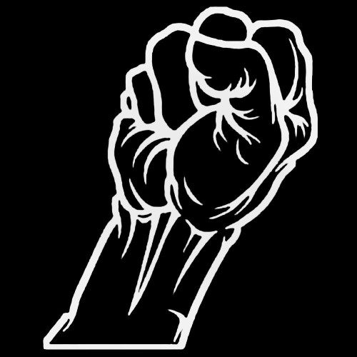 Metallica St. Anger Decal Sticker