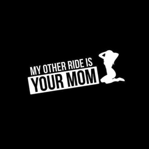 My Other Ride Is Your Mom Decal Sticker