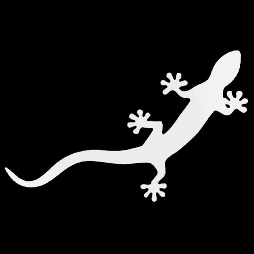 Audi Quattro Gecko 1 Decal Sticker
