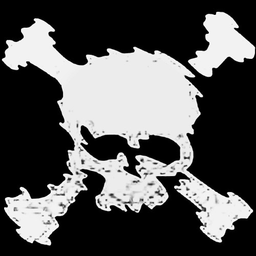 Oakley Skull Surfing Decal Sticker