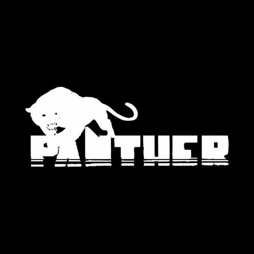 Panther Usa Band Vinyl Decal Sticker