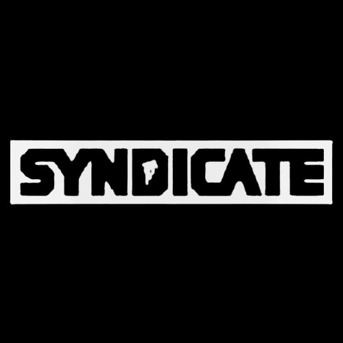 Santa Cruz Bicycles Syndicate Block Decal Sticker