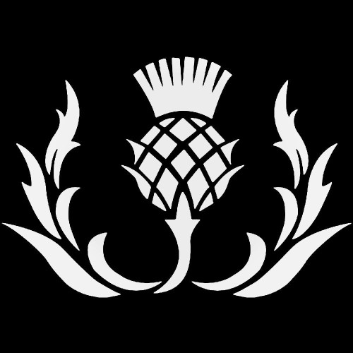 Scottish Thistle Flower Decal Sticker