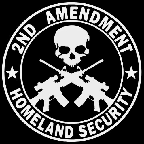Second Amendment Homeland Security Vinyl Decal Sticker