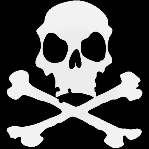 Skull Crossbones 13 Vinyl Decal Sticker