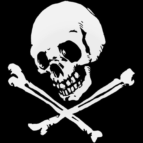 Skull Crossbones 14 Vinyl Decal Sticker