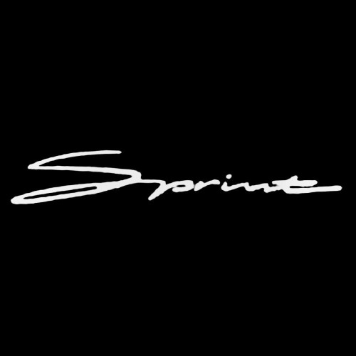 Sprint Aftermarket Decal Sticker