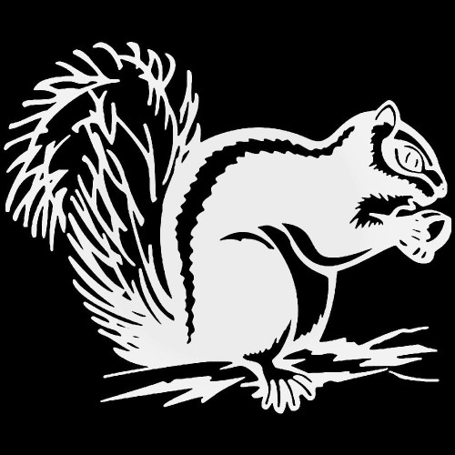 Squirrel Nut Animal Vinyl Decal Sticker