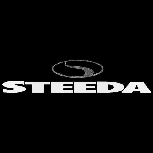 Steeda S 02 Vinl Car Graphics Decal Sticker