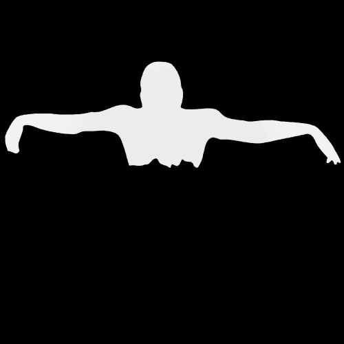 Swimming Batterfly Decal Sticker