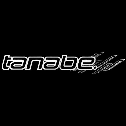 Tanabe S 02 Vinl Car Graphics Decal Sticker